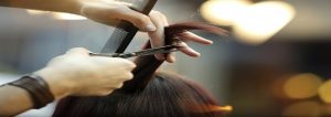 Hair Safari in South Carolina